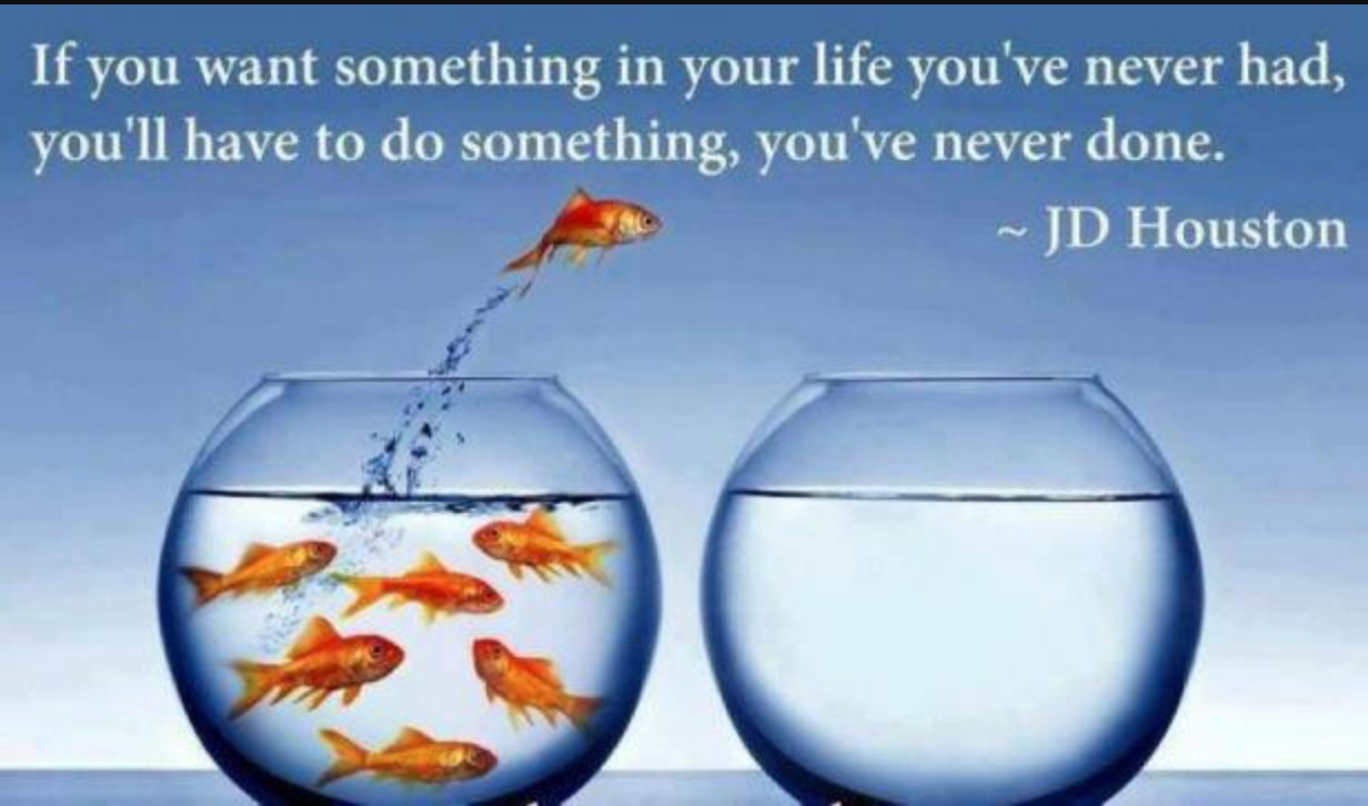 inspirational gold fish