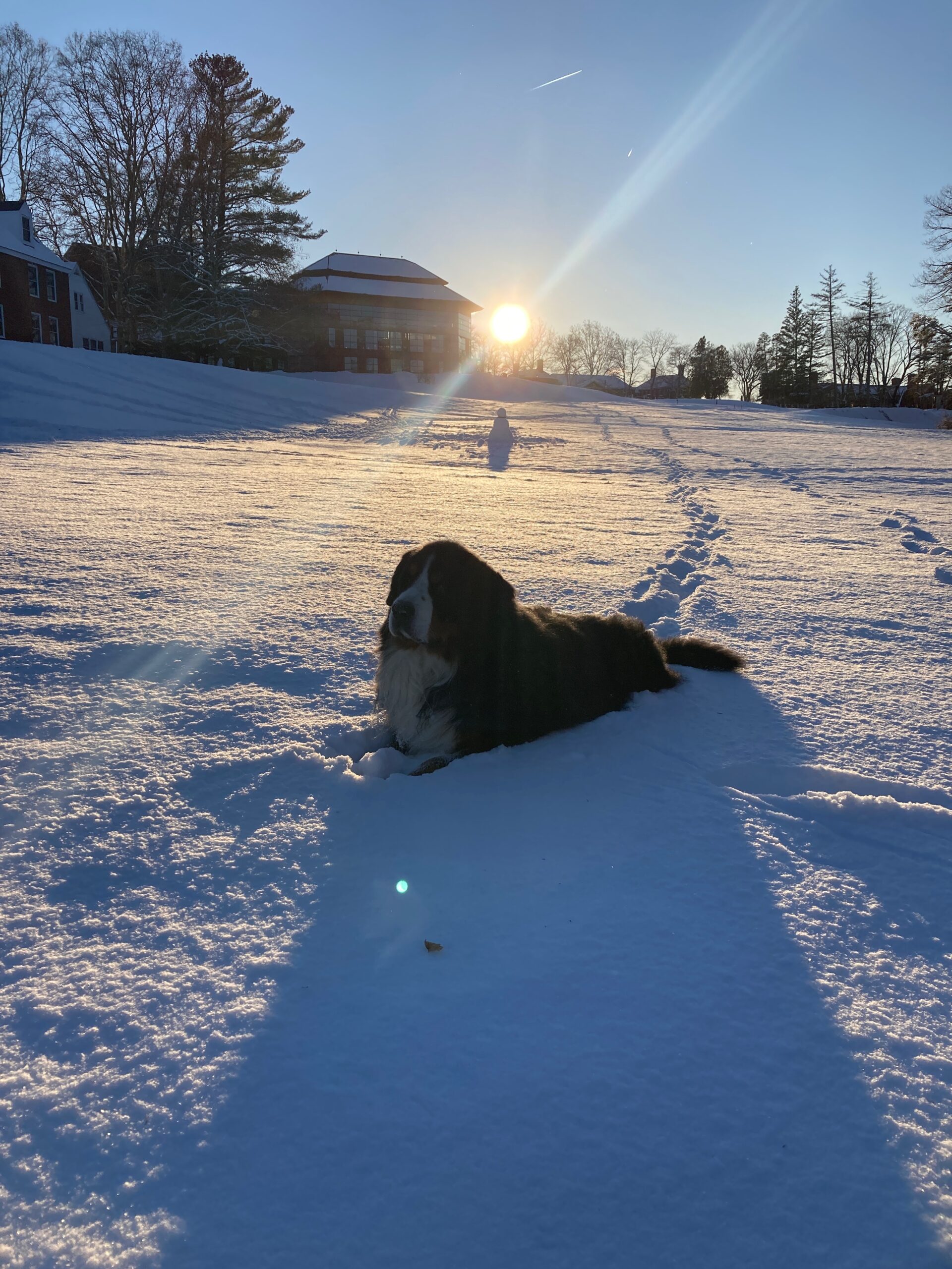 Tuukka in the snow and setting sun