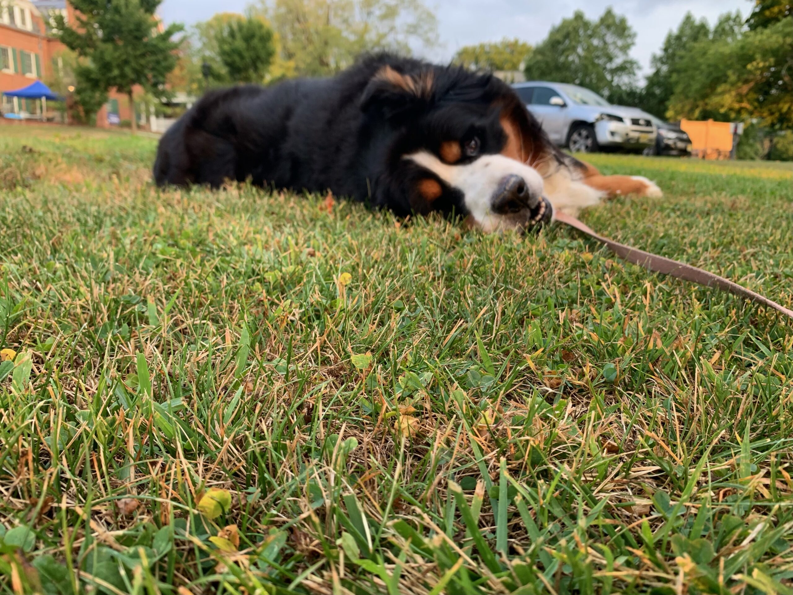 Tuukka on a "walk"